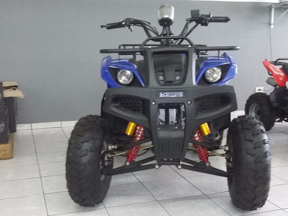 quadriciclos 150cc aro 8 (3)