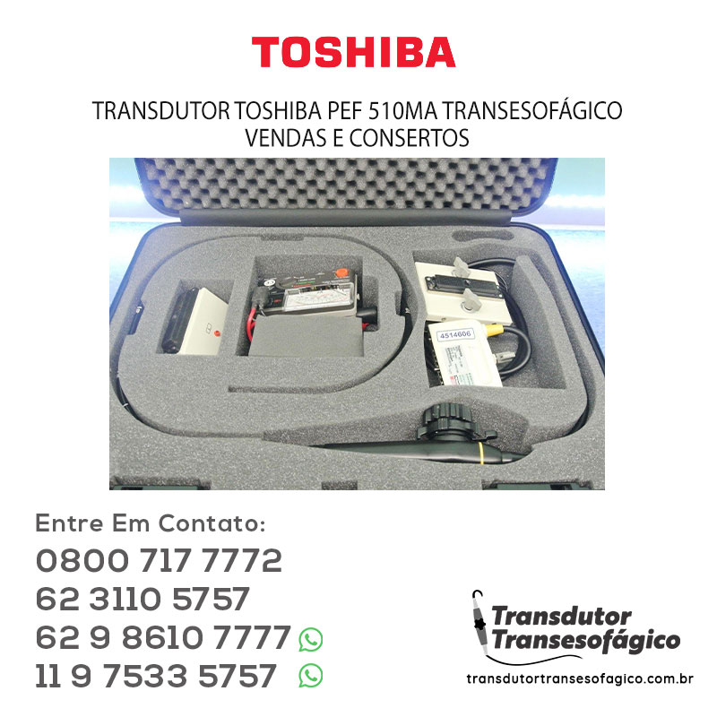 TOSHIBA-PEF-510MA-TRANSESOFAGICO