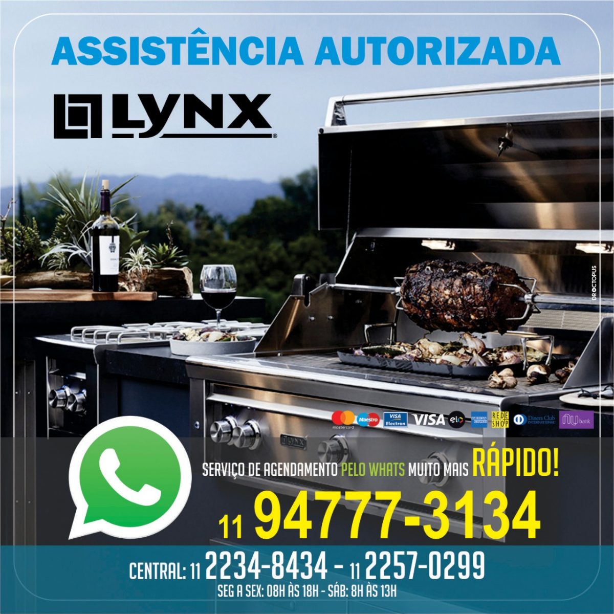 lynx-churrasqueiras-assistencia-autorizada