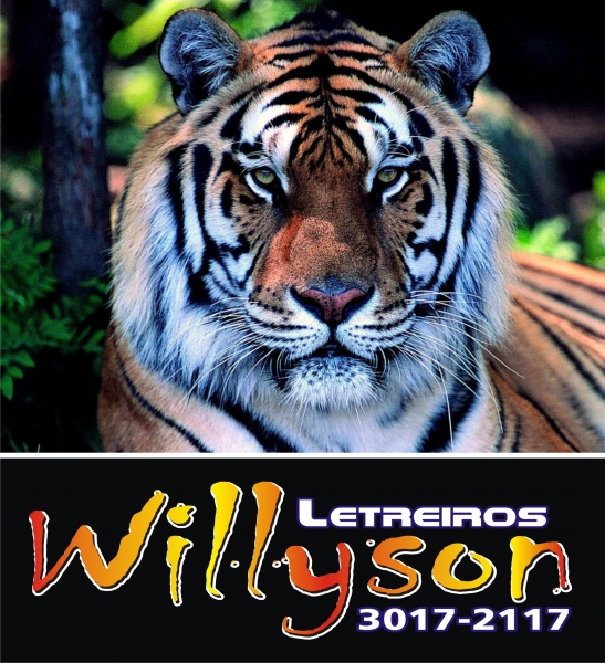 logo willyson