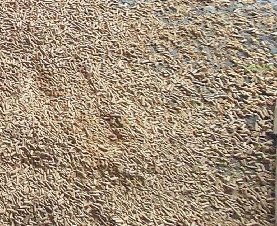 ANIMAL FEED