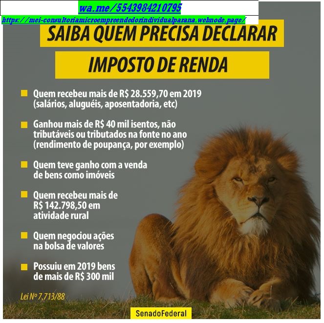 2024 - IMPOSTO DE RENDA 02 - Cópia (2)